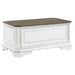 Magnolia Manor Storage Trunk in Antique White image