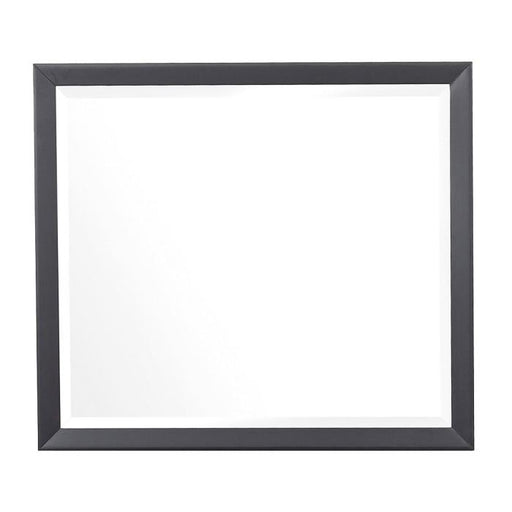 Homelegance Raku Mirror in Gray 1711-6 image